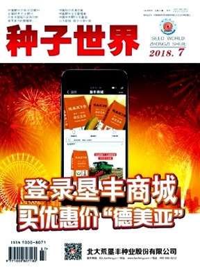种子世界