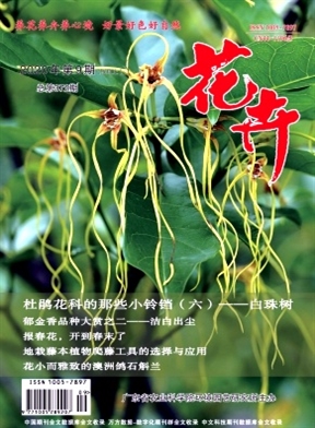 花卉